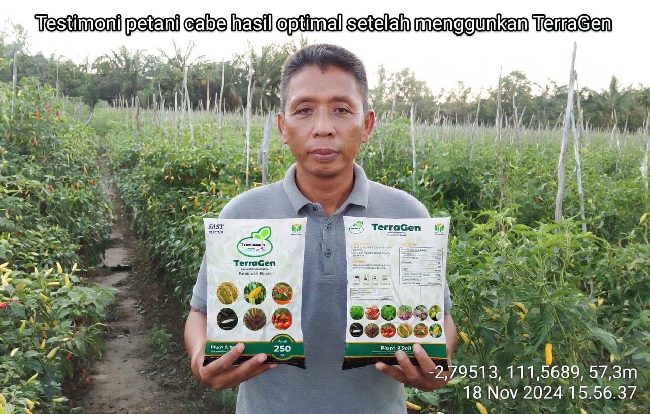 Pak Budi